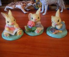 Rabbit