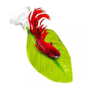 betta leaf