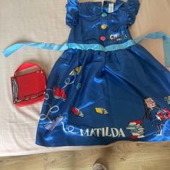 Costume Matilda dress