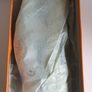 Solada Moda Ladies Green Suede Shoes New With Box Size UK4 Jewel Detail Low Heel CAN POST Image 5
