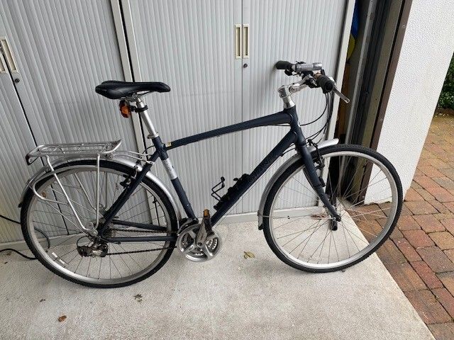 Men's Giant Bike