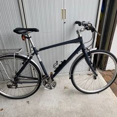 Men's Giant Bike