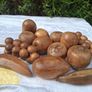 Set of 13 Mid Century Acacia Hardwood Fruits Image 2