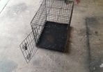 dog cage