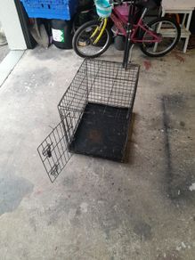 dog cage