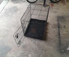 dog cage
