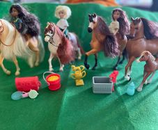 Spirit Riding Free Horse & Doll bundle