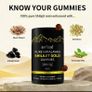 Pure Himalayan Gold Shilajit with Ashwagandha & Gokshura, 60 gummies Image 9