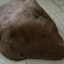 Bundle of Reptile Acessories Feeding Bowls Image 10