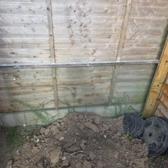 Shower Door