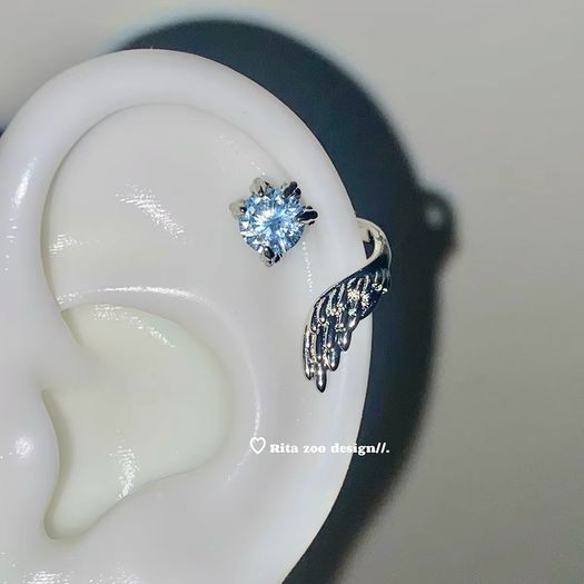 Dragon claw Wing Zircon designer earrings stud