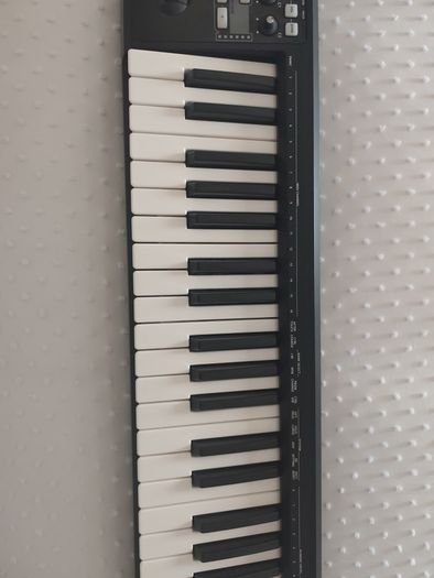 Roland A49 Midi Keyboard