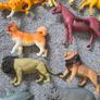 Mix of animals Image 2