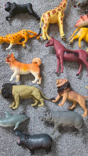 Mix of animals