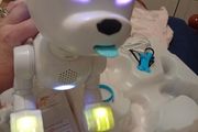 Robot Dog