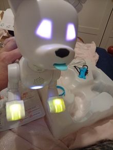 Robot Dog