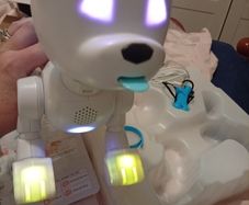 Robot Dog