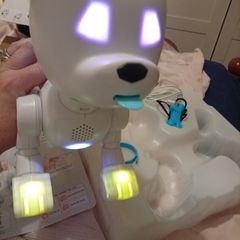 Robot Dog