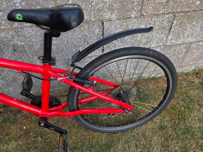 Frog Bike - 62