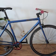 Kona Paddy Wagon Fixie