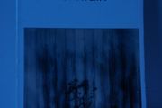 The Grapes of Wrath Steinbeck