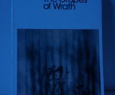 The Grapes of Wrath Steinbeck