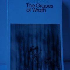 The Grapes of Wrath Steinbeck