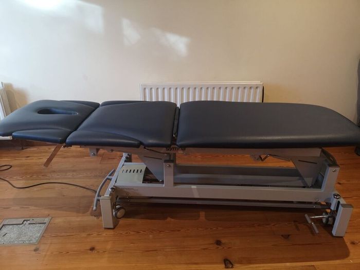 Professional treatment table