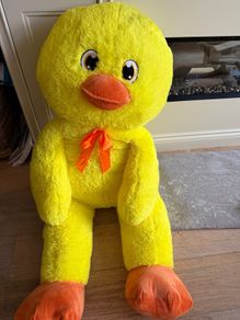 free large teddy