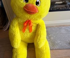 free large teddy