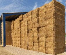 Straw