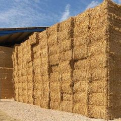 Straw
