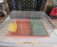 3 hamster cages