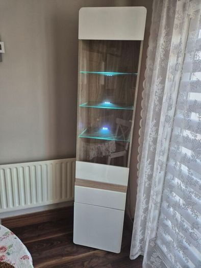 cabinet high gloss with light