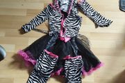 Zebra age 12-14