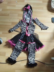 Zebra age 12-14