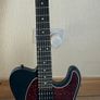 Harley Benton TE-20 HH for sale Image 2