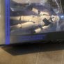 Star Wars Black Series "6" Remnant Stormtrooper Image 2