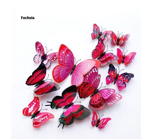 Double wing Butterflies