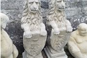Wescott Lions