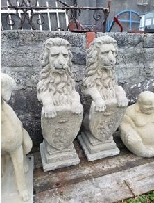 Wescott Lions
