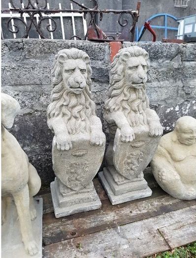 Wescott Lions