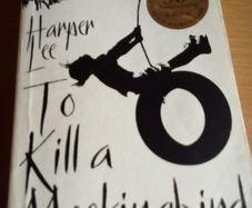Junior Certificate English Novel