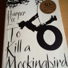 Junior Certificate English Novel
