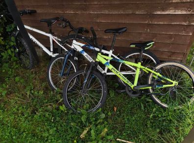 3 kids bikes