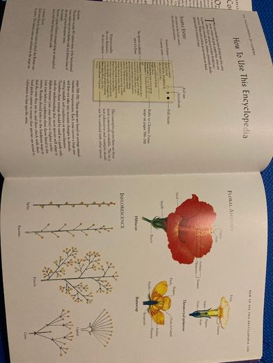 The Essential Flower Gardening Encyclopedia
