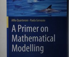 A Primer on Mathematical Modelling