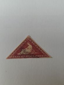 Cape Of Good Hope 1853 One Penny Pale Brick-red