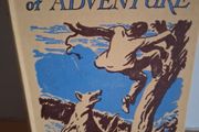 The Mountain of Adventure