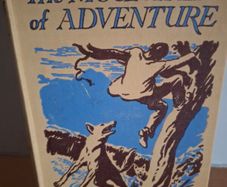 The Mountain of Adventure